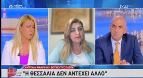 Λιακούλη στον ΣΚΑΙ: "Κυβέρνηση συσκέψεων, χωρίς αποτέλεσμα"